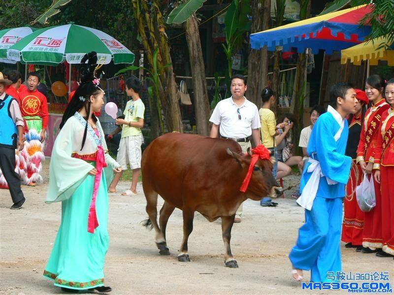 马鞍山360论坛 - 中华情人节[1]. (中型).JPG