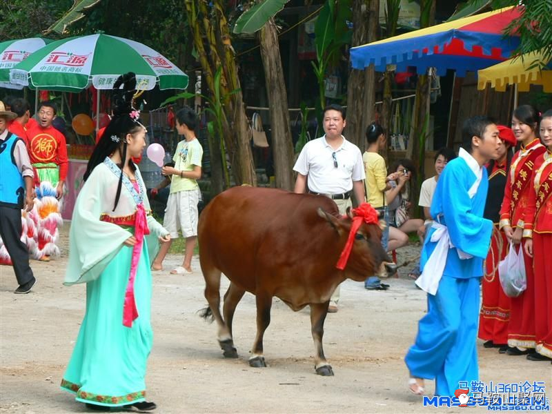 马鞍山360论坛 - 中华情人节[1]. (中型).JPG