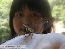 传说中的一日游···