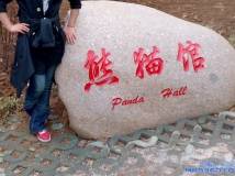 翻出来的..